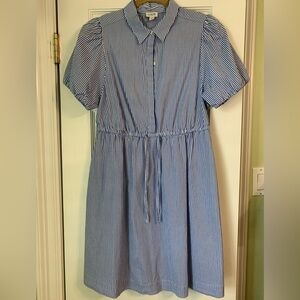 J Crew Factory Blue Pin Striped Cotton Preppy Dress Size 10